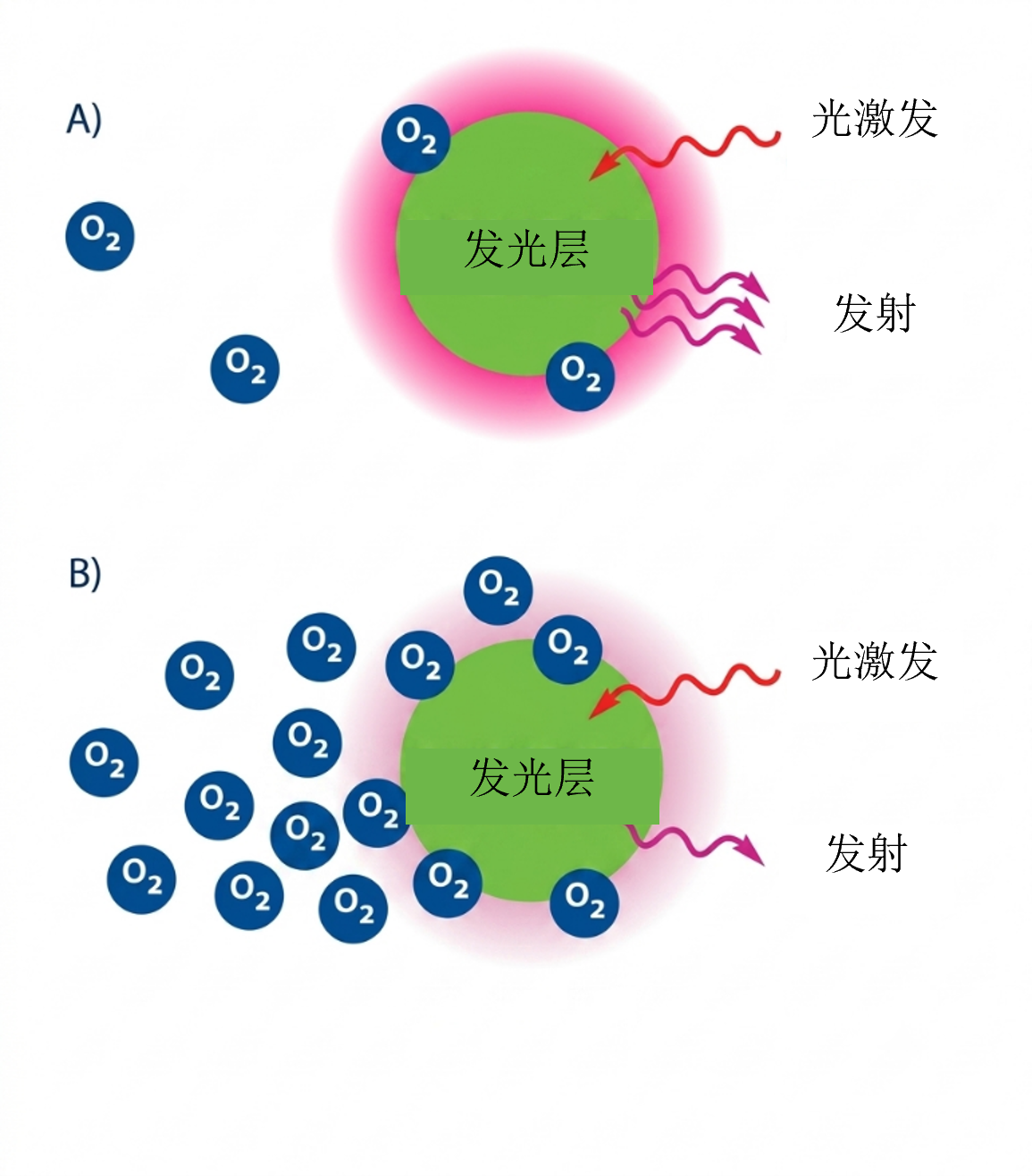1781078486320109.png 光学氧1.png
